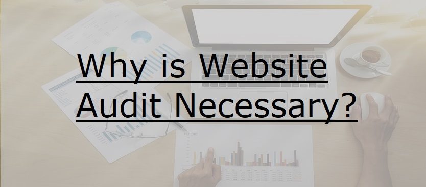 website audit